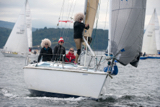 zebedee 6731y whyw17 wed gjmc 7378